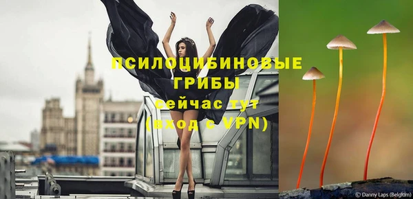 бутират Алзамай