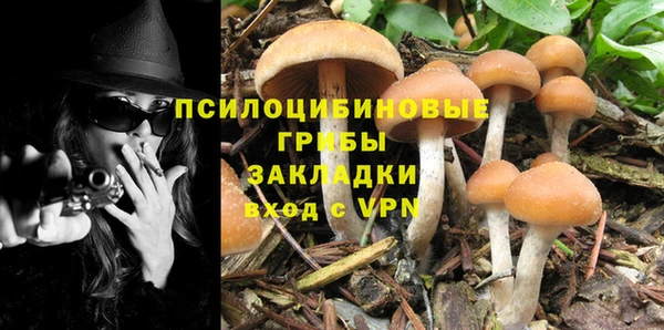 бутират Алзамай