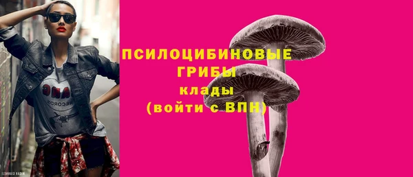 бутират Алзамай