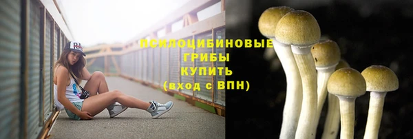 бутират Алзамай