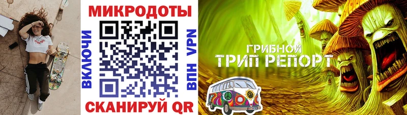 купить закладку  ссылка на мегу рабочий сайт  Псилоцибиновые грибы прущие грибы  Ленинск-Кузнецкий 